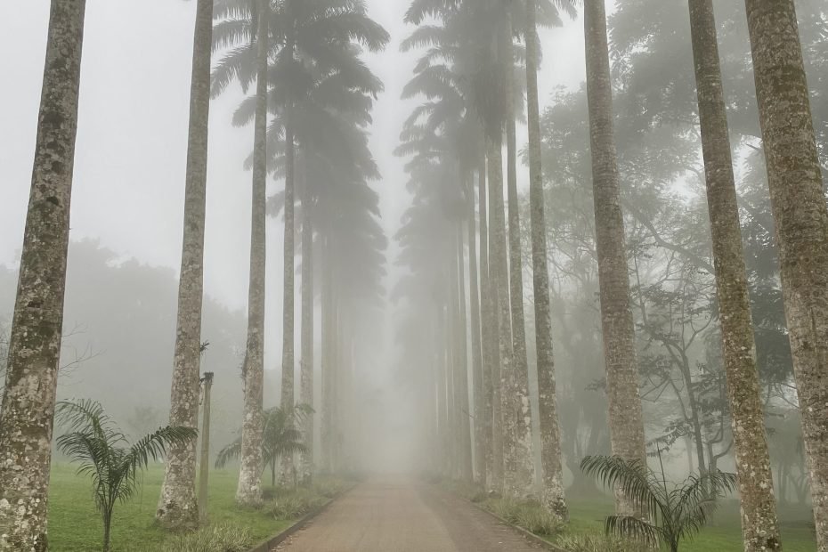 Aburi Gardens mother environment