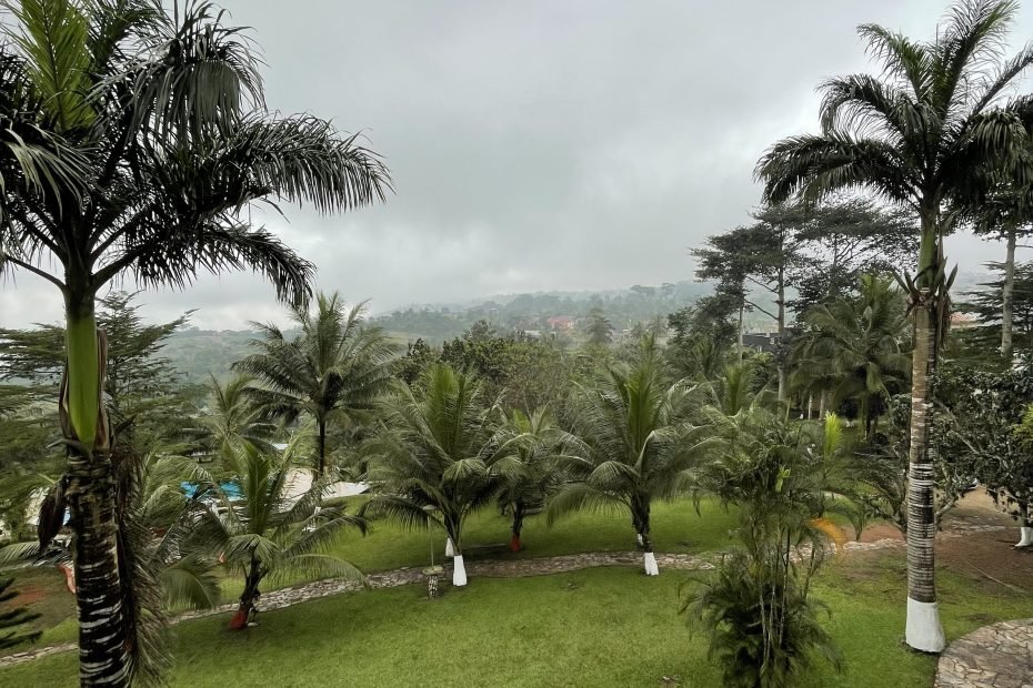 serene sweet mother environment