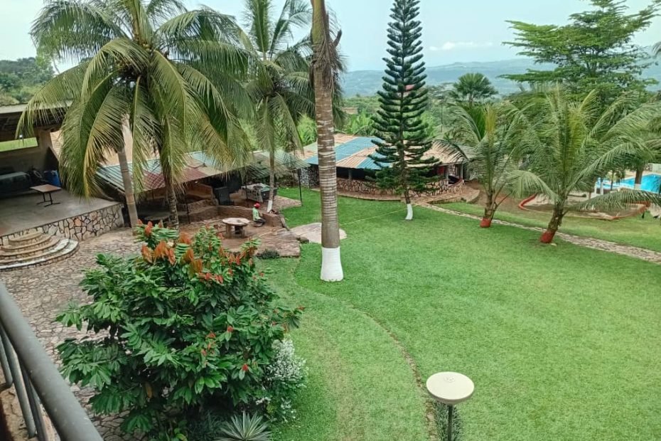 serene sweet mother environment