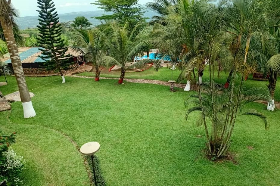 serene sweet mother environment